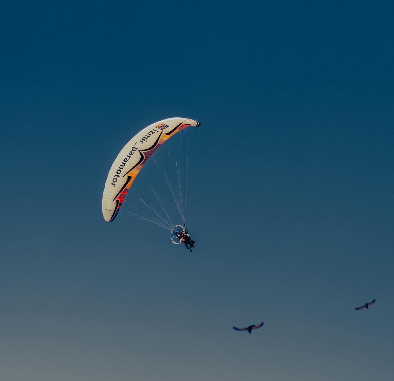 The Art of Drawing Readers In: Your attractive post title goes here A thrilling paragliding experience in the clear skies of Izmir, Türkiye showcasing birds in flight.