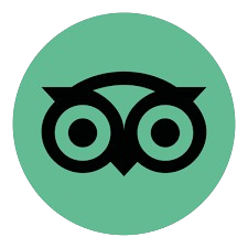 download 13 removebg preview download 13 removebg preview