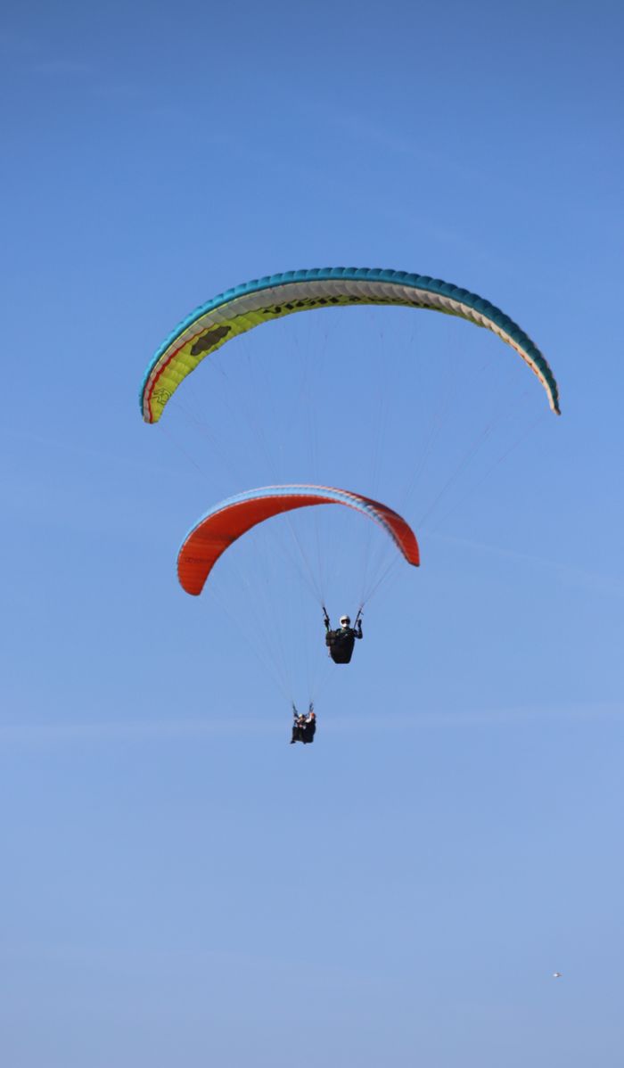 contact Two paragliders soaring through clear blue skies on a sunny day.